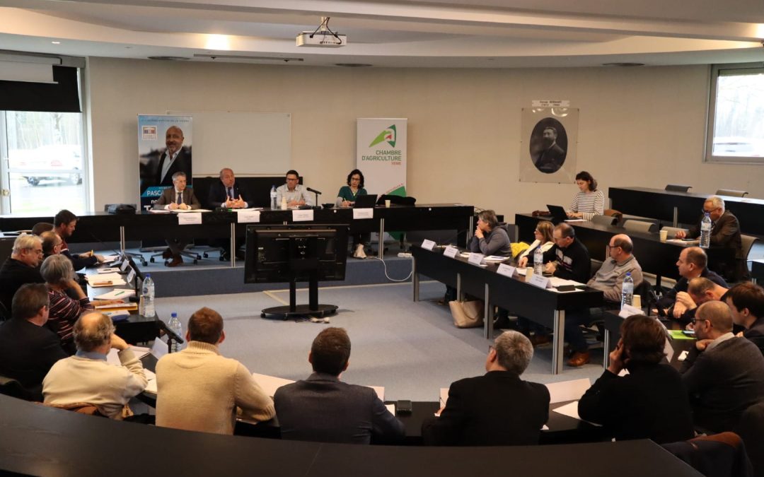 Table-ronde « Installation-Transmission: Aller vers plus d&rsquo;agriculteurs et d&rsquo;agricultrices »